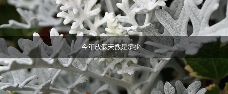 今年放假天数是多少,第1张