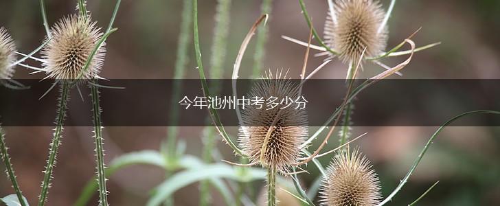 今年池州中考多少分,第1张