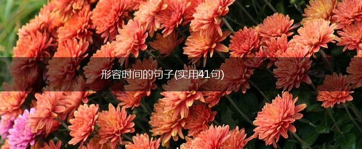 形容时间的句子(实用41句),第1张