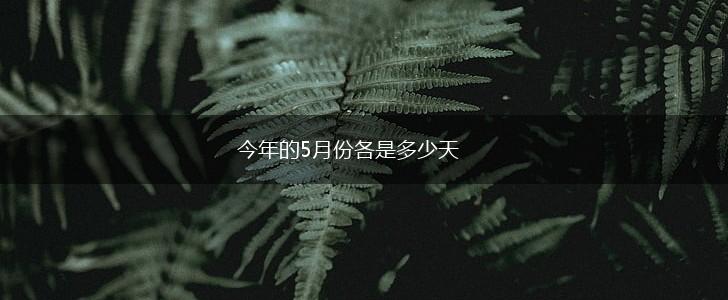 今年的5月份各是多少天,第1张