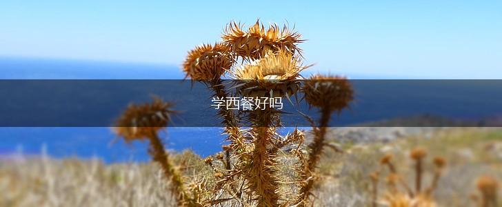学西餐好吗,第1张