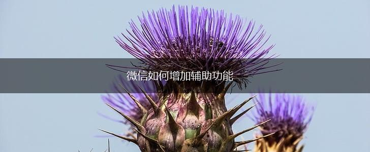 微信如何增加辅助功能,第1张