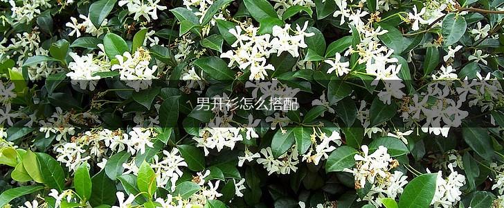 男开衫怎么搭配,第1张