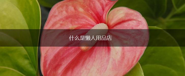 什么是懒人用品店,第1张
