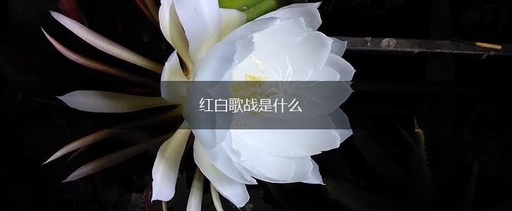 红白歌战是什么,第1张