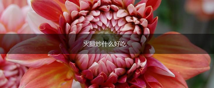 火腿炒什么好吃,第1张