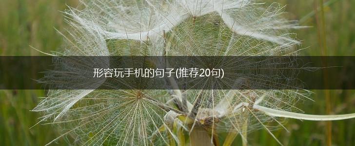 形容玩手机的句子(推荐20句),第1张
