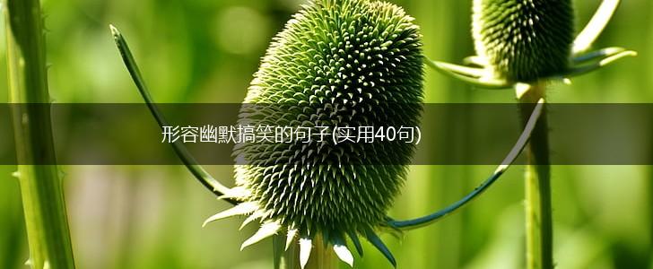 形容幽默搞笑的句子(实用40句),第1张