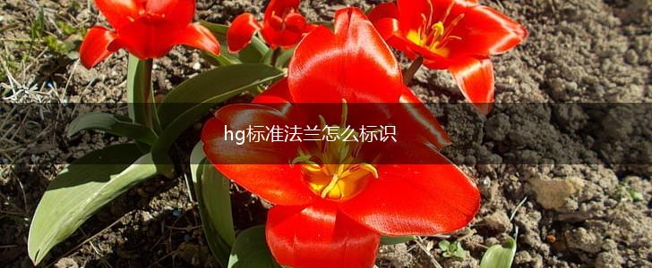 hg标准法兰怎么标识,第1张