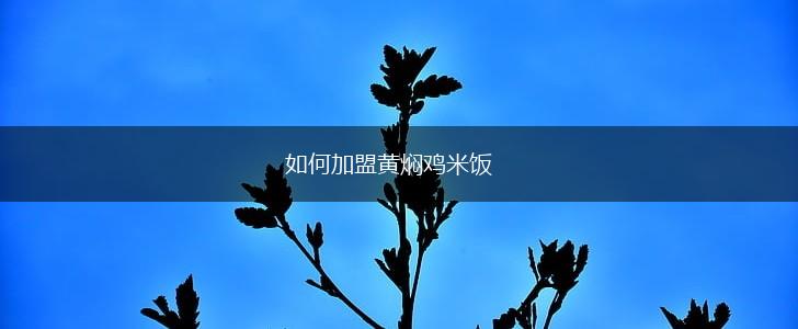 如何加盟黄焖鸡米饭,第1张