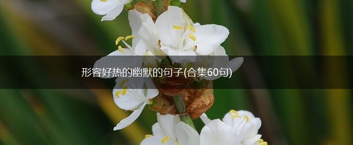 形容好热的幽默的句子(合集60句),第1张