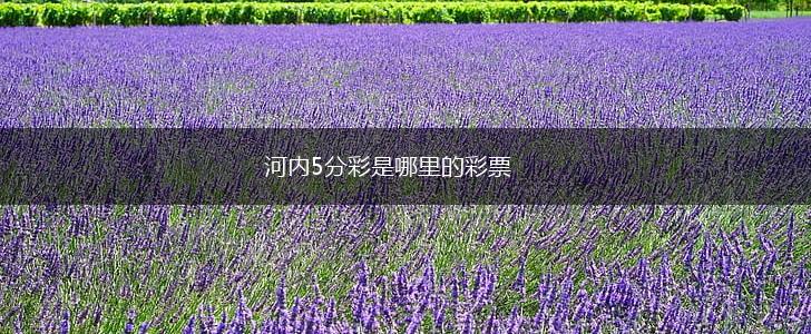 河内5分彩是哪里的彩票,第1张