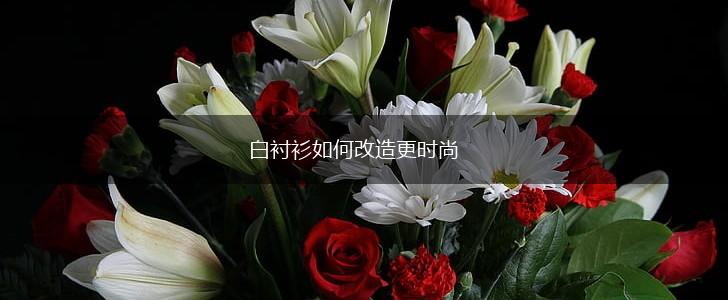 白衬衫如何改造更时尚,第1张