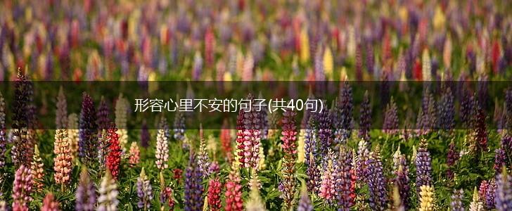 形容心里不安的句子(共40句),第1张