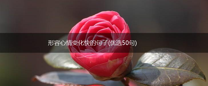 形容心情变化快的句子(优选50句),第1张