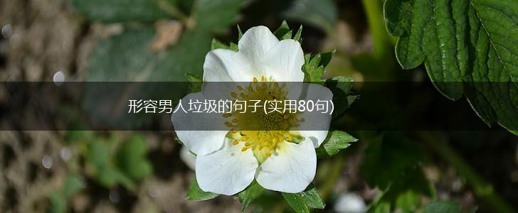形容男人垃圾的句子(实用80句),第1张