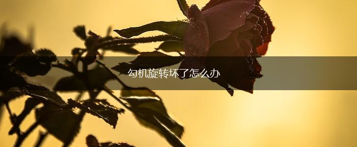 勾机旋转坏了怎么办,第1张