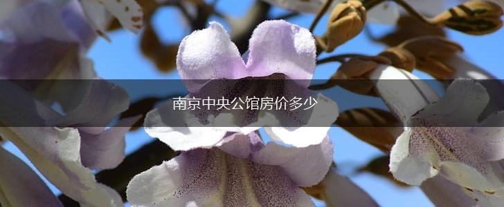 南京中央公馆房价多少,第1张