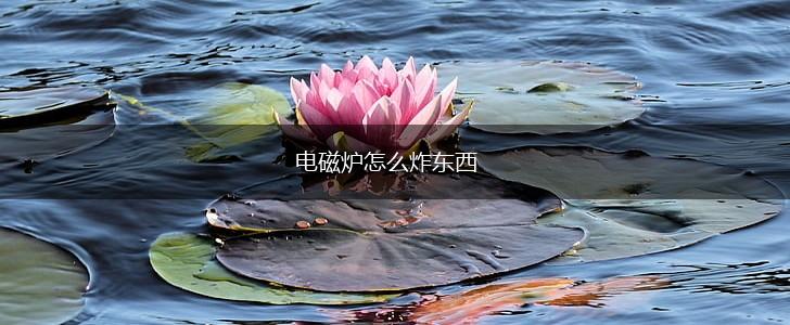 电磁炉怎么炸东西,第1张