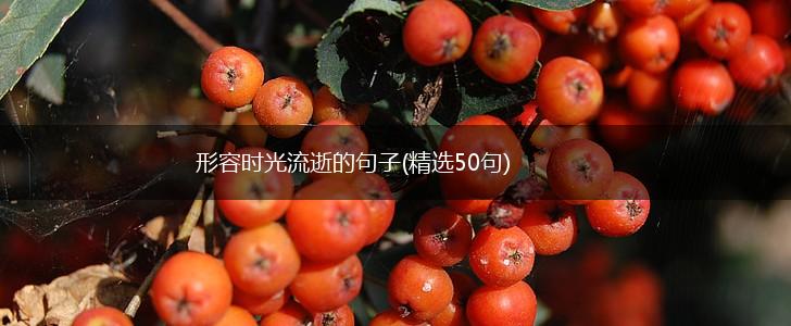 形容时光流逝的句子(精选50句),第1张