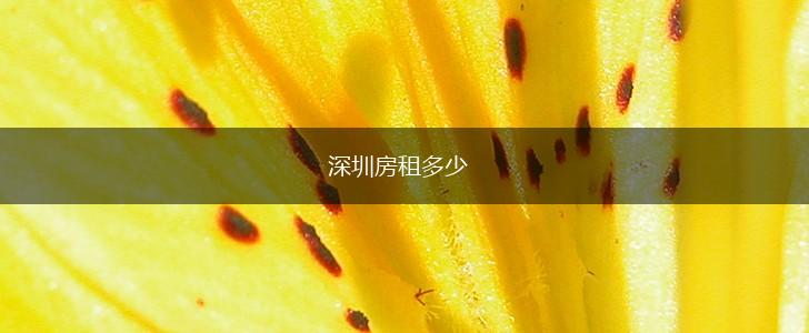 深圳房租多少,第1张