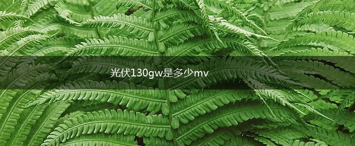 光伏130gw是多少mv,第1张