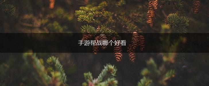 手游帮战哪个好看,第1张