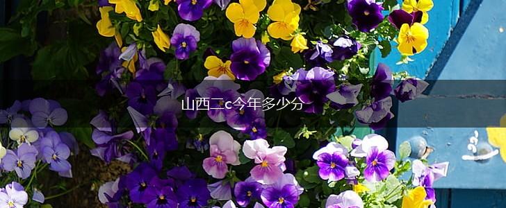 山西二c今年多少分,第1张