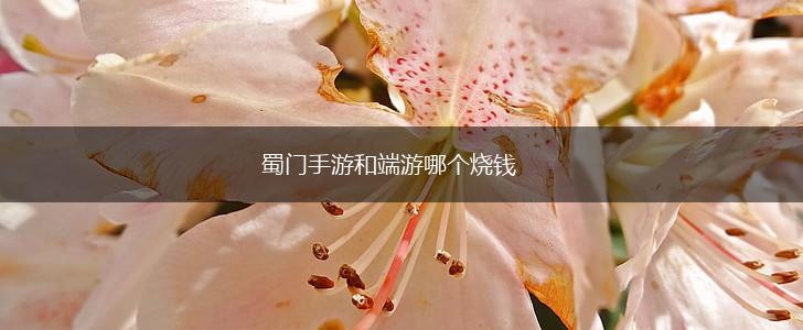 蜀门手游和端游哪个烧钱,第1张