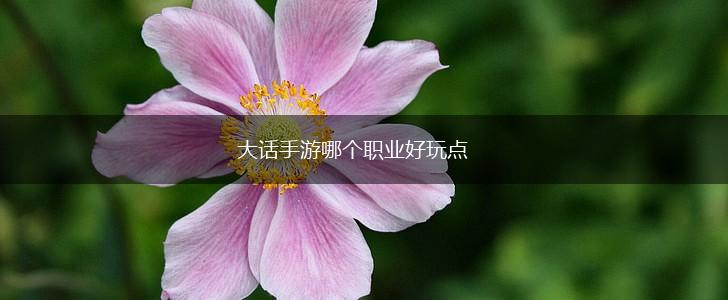 大话手游哪个职业好玩点,第1张