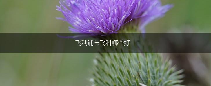 飞利浦与飞科哪个好,第1张