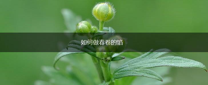 如何做春卷的馅,第1张