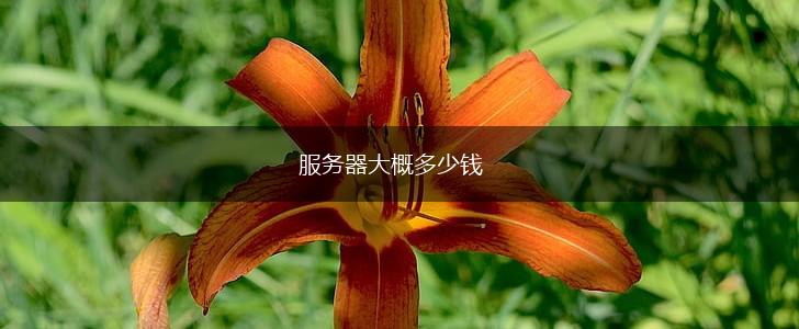 服务器大概多少钱,第1张