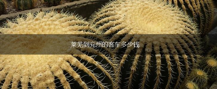 莱芜到兖州的客车多少钱,第1张