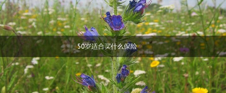 50岁适合买什么保险,第1张