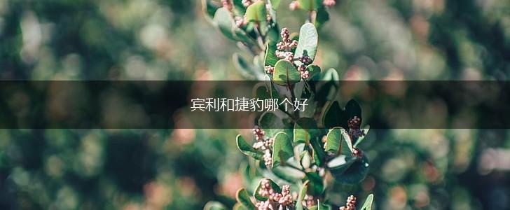 宾利和捷豹哪个好,第1张