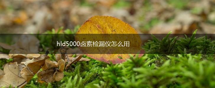 hld5000卤素检漏仪怎么用,第1张