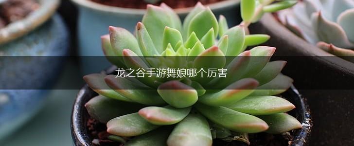 龙之谷手游舞娘哪个厉害,第1张
