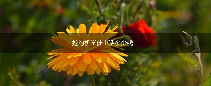 挖沟机学徒电话多少钱,第1张