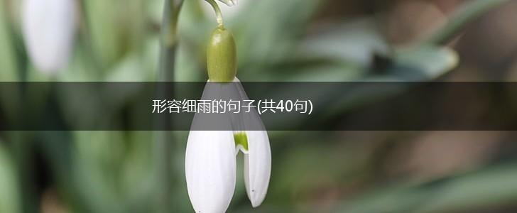 形容细雨的句子(共40句),第1张