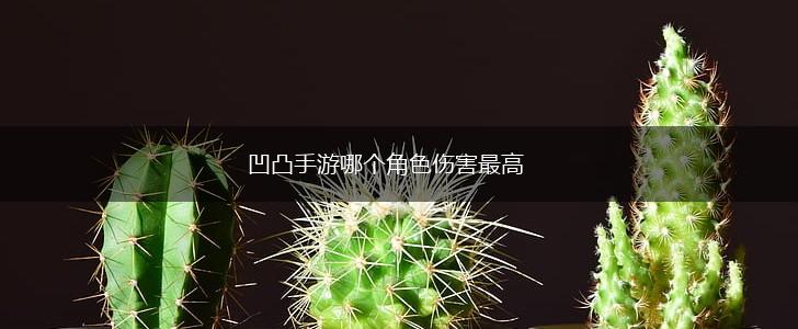 凹凸手游哪个角色伤害最高,第1张