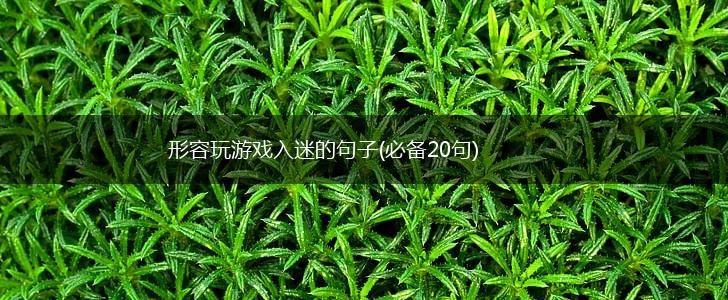 形容玩游戏入迷的句子(必备20句),第1张