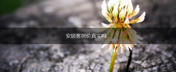 安居客房价真实吗,第1张