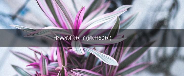 形容心的句子(通用60句),第1张