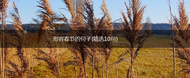 形容春节的句子(精选10句),第1张