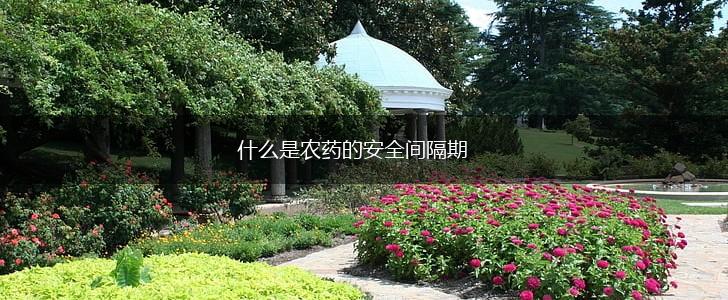 什么是农药的安全间隔期,第1张