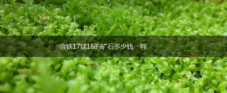 含铁17锰16的矿石多少钱一吨,第1张