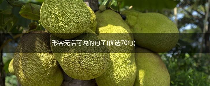 形容无话可说的句子(优选70句),第1张