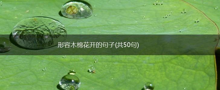 形容木棉花开的句子(共50句),第1张