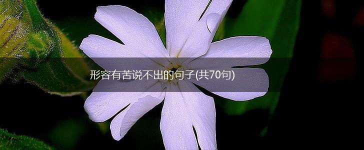 形容有苦说不出的句子(共70句),第1张